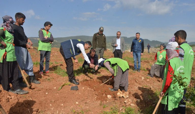 Mersin’de İdlib Şehitleri Hatıra Ormanı Oluşturuldu