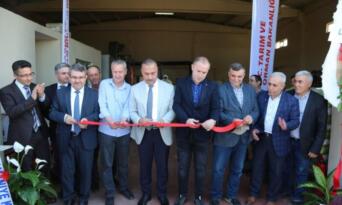 Yenişehir’de ayçiçek işleme tesisi hizmete açıldı