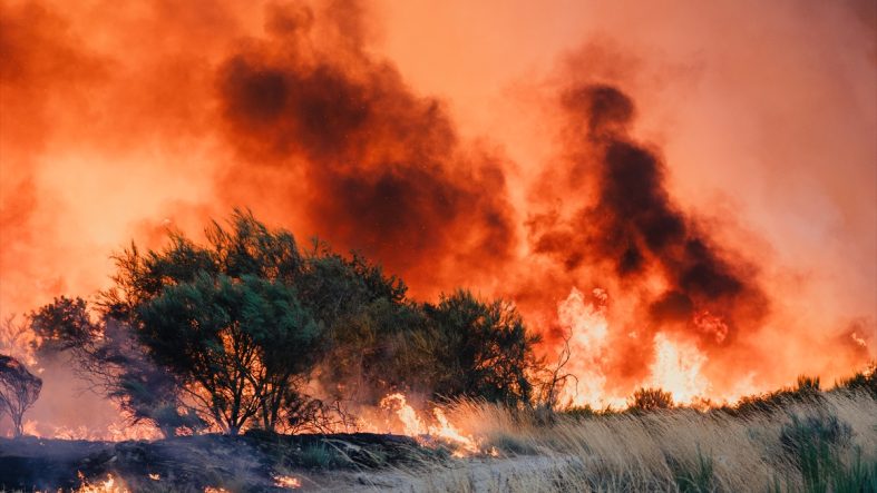 İspanya'da 344 bin hektardan fazla alan yandı