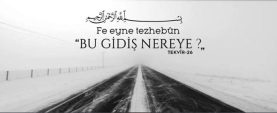 Bu gidiş nereye?