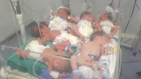 Gazze’de dehşete düşüren görüntü: 1 kuvözde 6 bebek