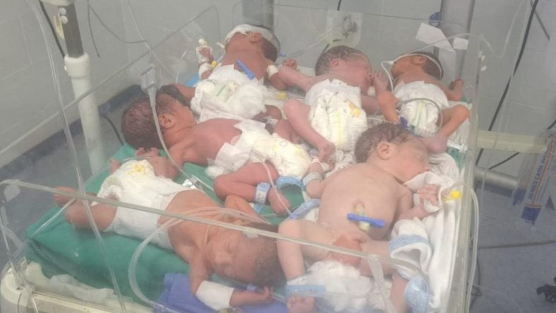 Gazze'de dehşete düşüren görüntü: 1 kuvözde 6 bebek