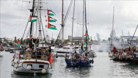 Küresel Sumud Filosu, Plastik Atıklara Takılan Caretta’yı Kurtardı